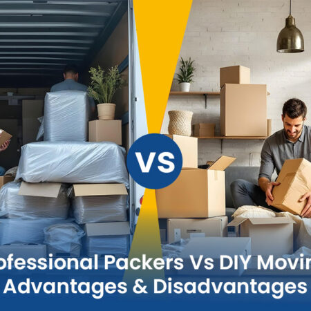 Professional Packers Vs DIY Moving: Advantages & Disadvantages